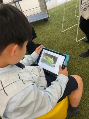 Embracing the Magic of Butterflies: A Journey of Learning