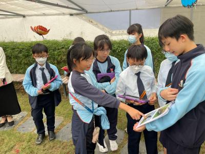 Embracing the Magic of Butterflies: A Journey of Learning