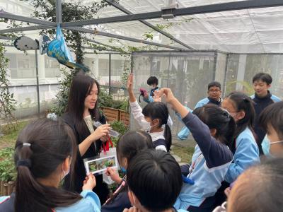 Embracing the Magic of Butterflies: A Journey of Learning