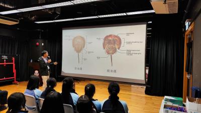 Popular Science Talk: Conservation of Horseshoe Crabs in Hong Kong